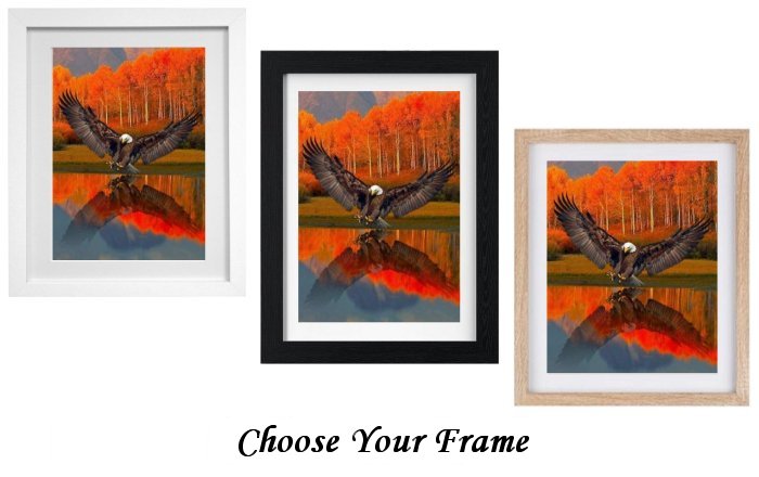 Select Your Frame